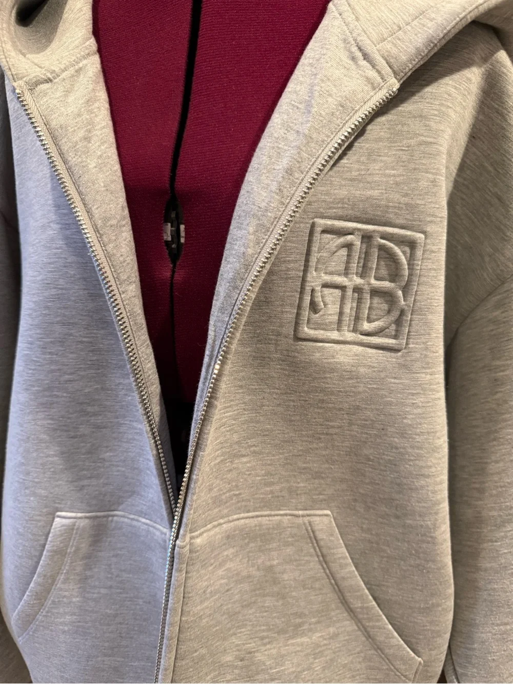 Anine Bing Grey Bond Zip Hoodie - Picture 3 of 15